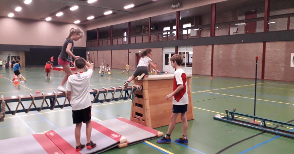 Welp Groep 8 neemt de gymles over | Sport aan de Maas KC-17